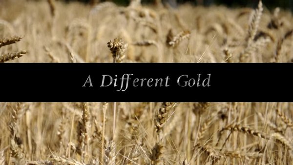 A Different Gold A Different Gold