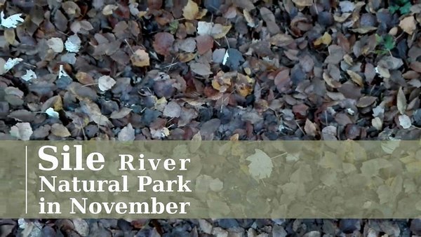 Sile River Natural Park inNovember
