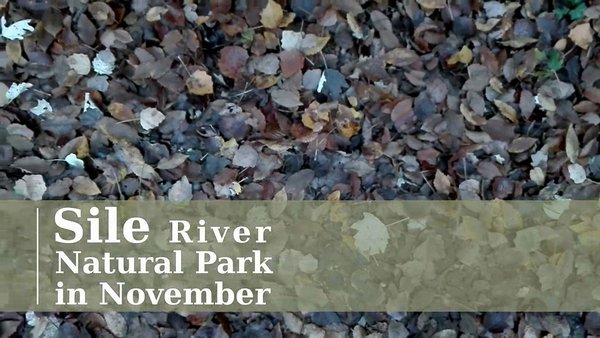 Sile River Natural Park inNovember Sile River Natural Park inNovember